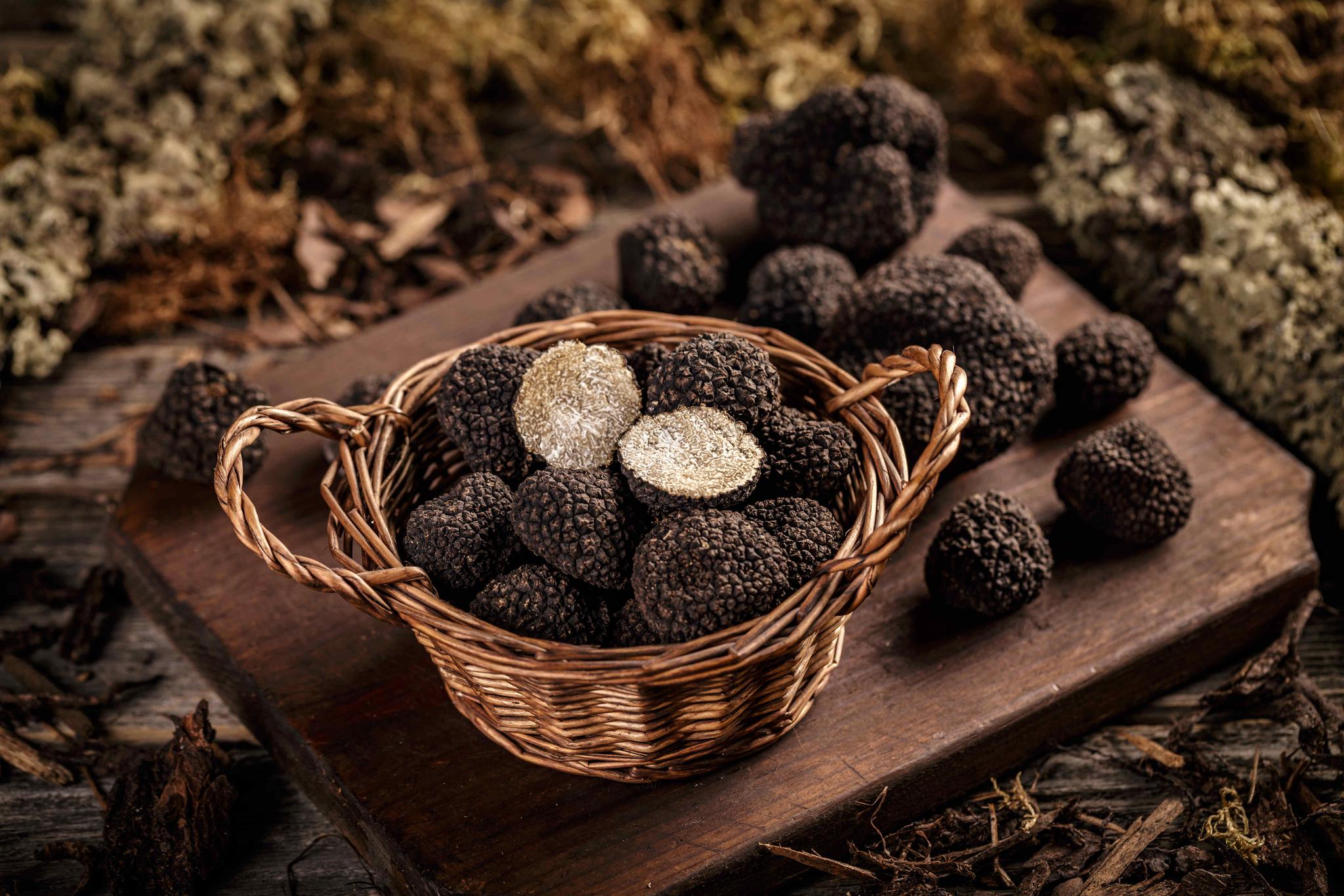 Truffle Season New Menu